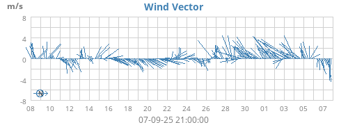 Wind Vector